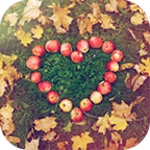 apple heart theme android application logo